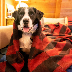 Arcturus Backwoods Wool Blanket - Red Buffalo Plaid | 4.5 lbs