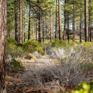 Arcturus Dry Grass Ghost Ghillie Suit - Includes Matching Rifle Wrap